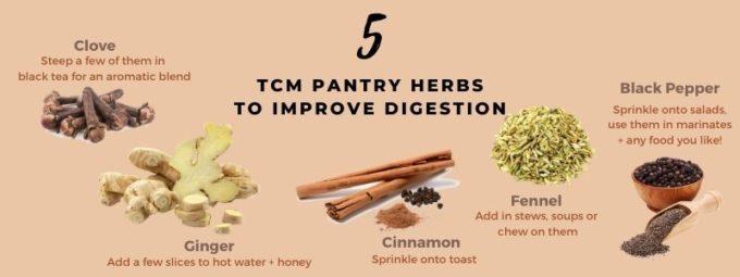 TCM Pantry Herbs to Improve Digestion