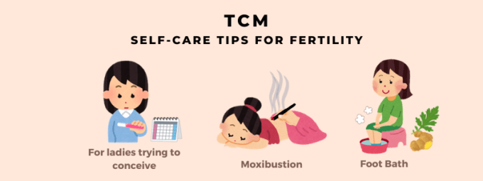 TCM Self-care Tips for Fertility