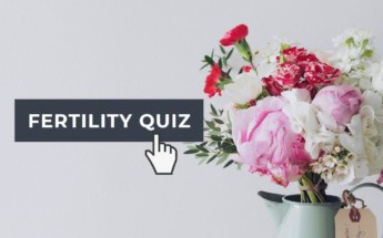 Blog image for TCM Fertility Quiz