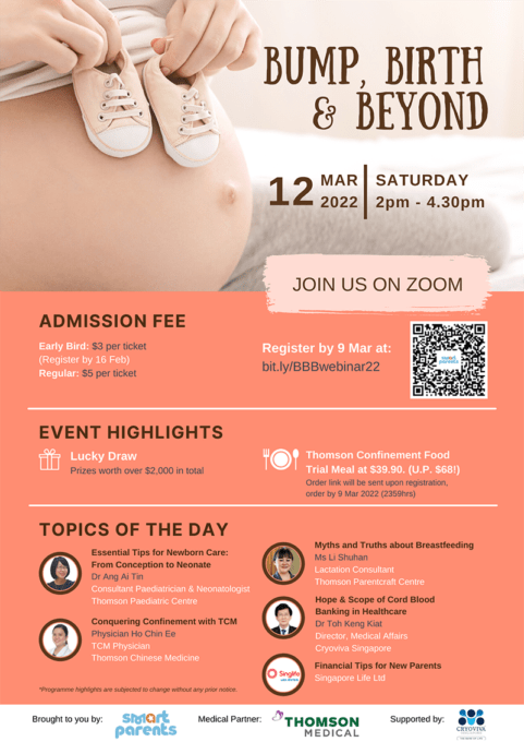 12 March Maternity Webinar Poster Bump Birth and Beyond