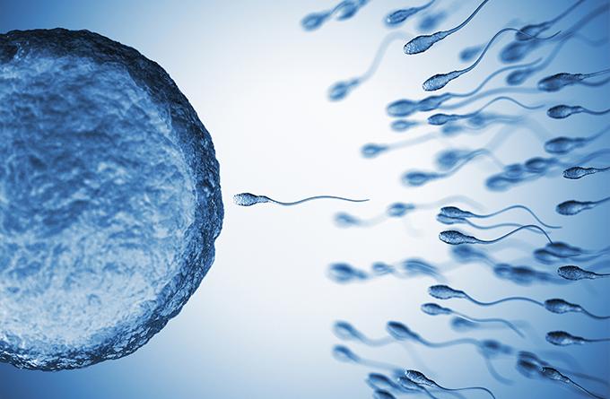 TCM Tips for Improving Fertility